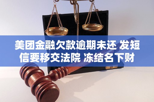 期未还 发短信要移交法院 冻结名下财产j9九游会俱乐部登录入口美团金融欠款逾