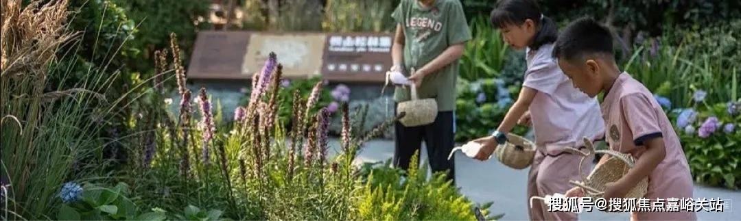 岛楼盘百科→首页网站→绿宝·园翡梵处中心